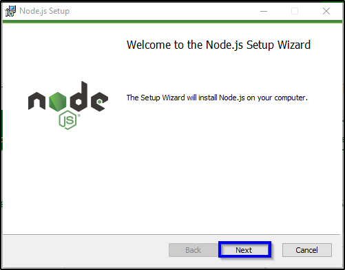 node js setup wizard