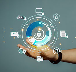 Digital Experience Platform (DXP)