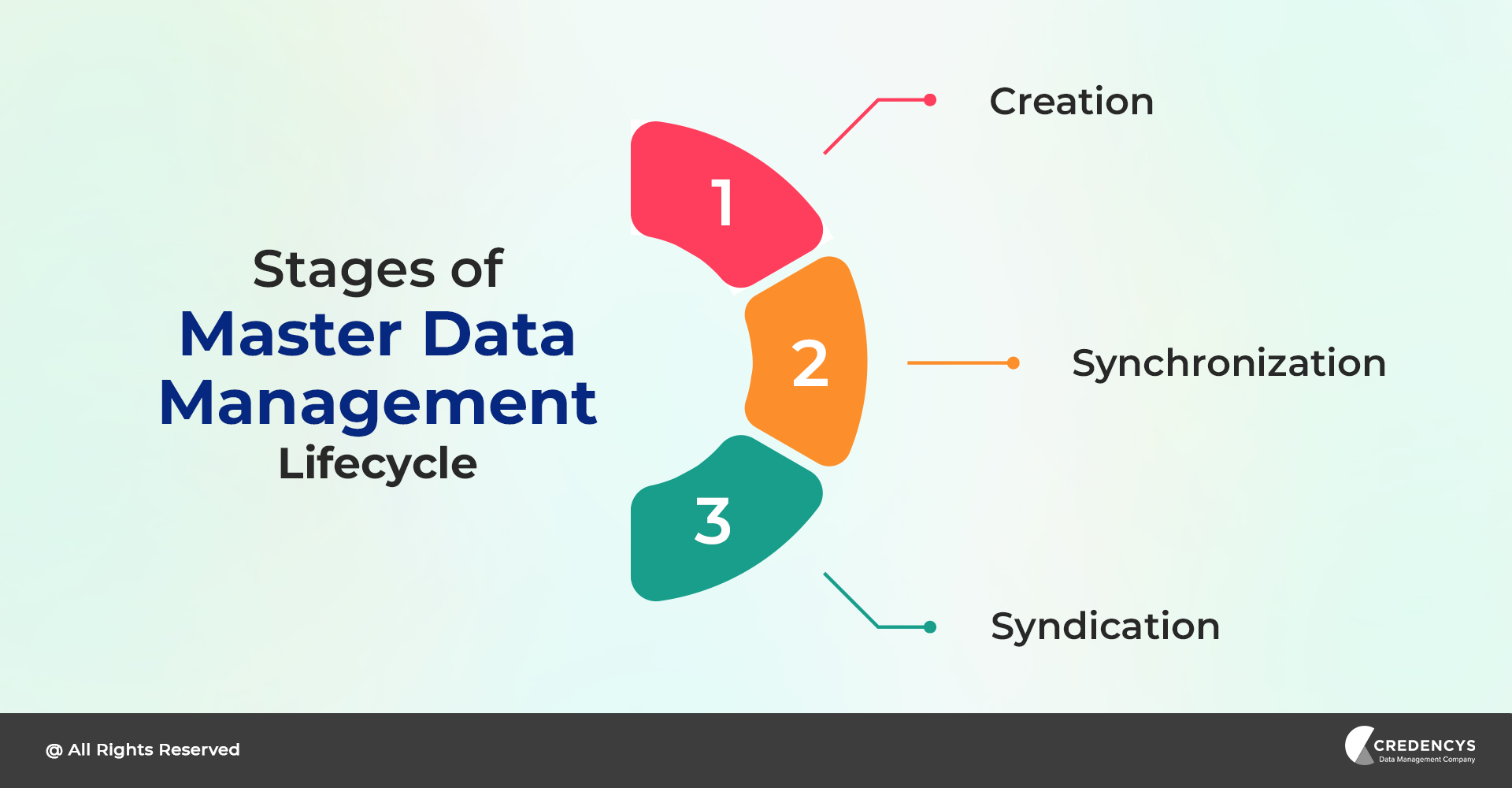 What is the Master Data Management Lifecycle