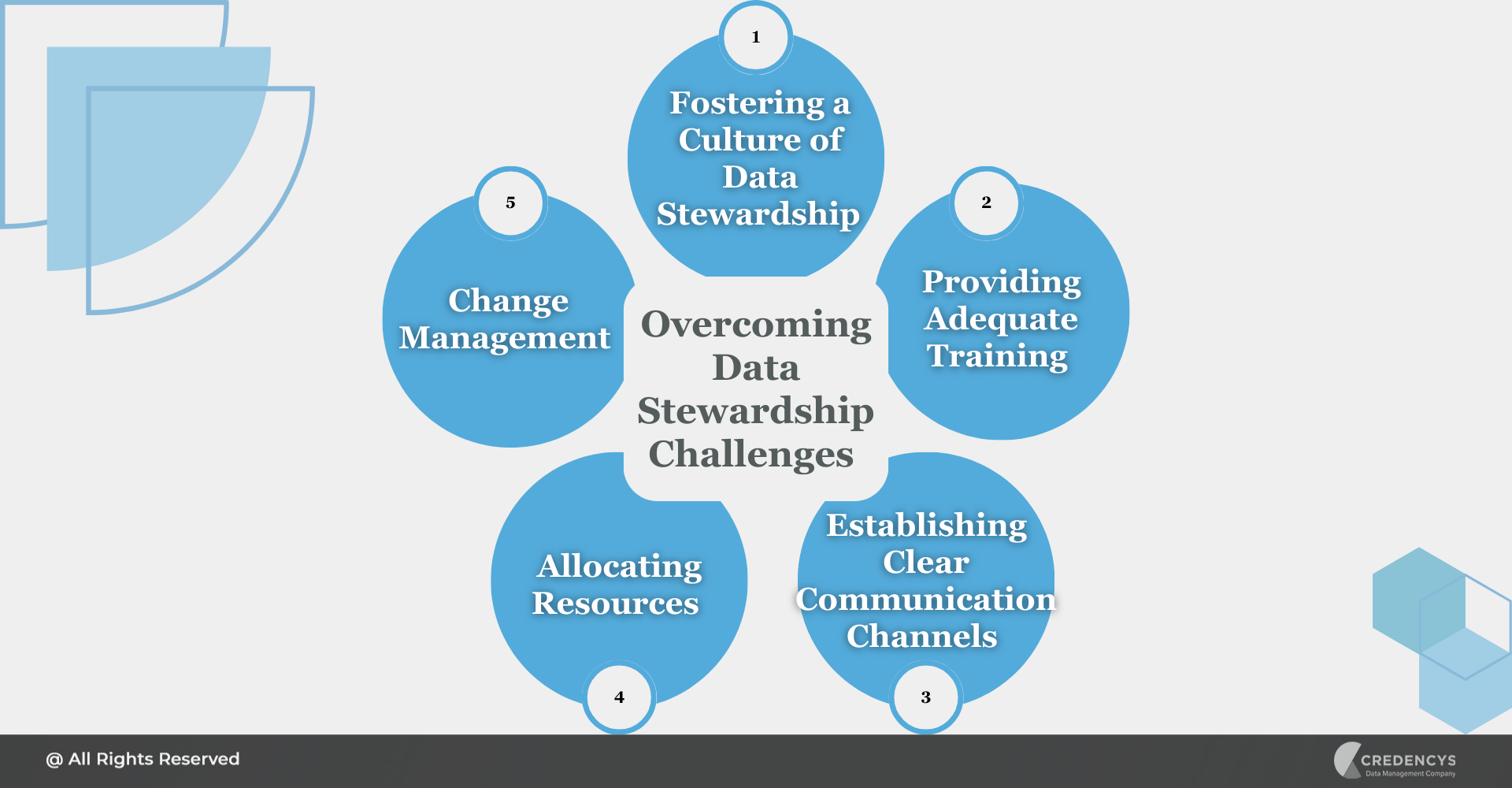 Overcoming Data Stewardship Challenges